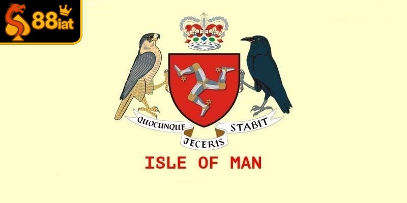 88i có giấy phép hoạt động